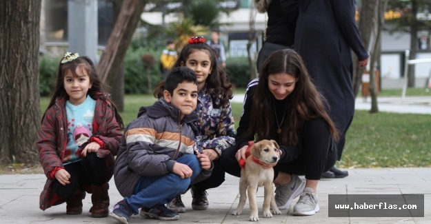 Esenyurt’ta parklar dolup taştı
