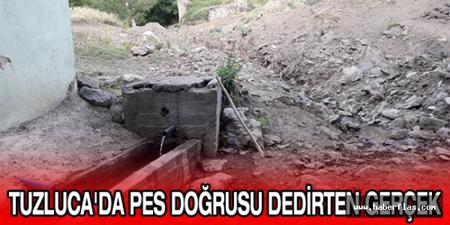 Tuzluca'da pes doğrusu dedirten gerçek
