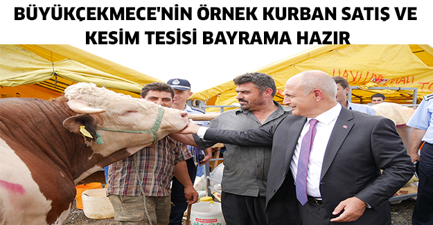 Büyükçekmece'nin Örnek Kurban Satış ve Kesim Tesisi bayrama hazır