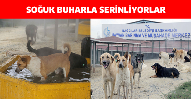 Soğuk buharla serinliyorlar