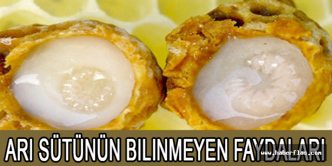 Arı sütünün bilinmeyen faydaları