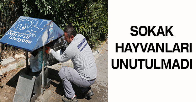 SOKAK HAYVANLARI UNUTULMADI