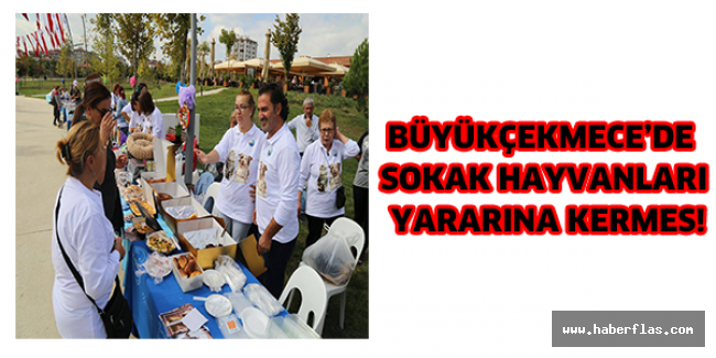 Büyükçekmece’de sokak hayvanları yararına kermes!