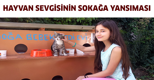 Hayvan sevgisinin sokağa yansıması