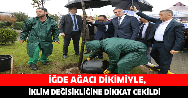 İĞDE AĞACI DİKİMİYLE, İKLİM DEĞİŞİKLİĞİNE DİKKAT ÇEKİLDİ
