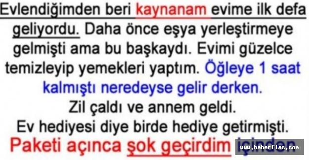 Evlendiğimden Beri Kaynanam Evime İlk Defa Geliyordu...