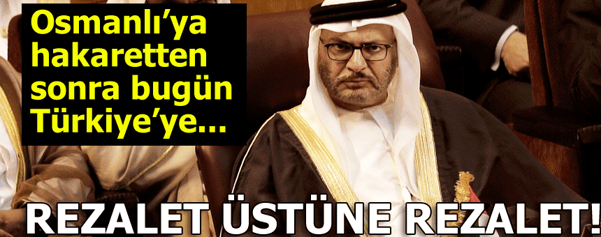 BAE'li bakandan haddini aşan tweet!