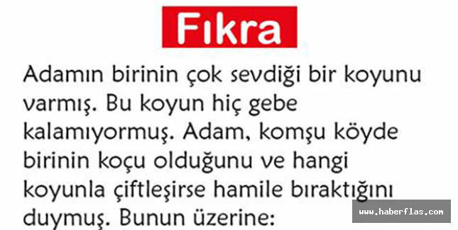 Kaçla koyun
