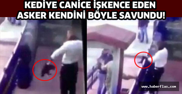 Kediye canice işkence eden asker kendini böyle savundu!