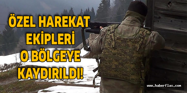 Özel harekat ekipleri o bölgeye kaydırıldı!