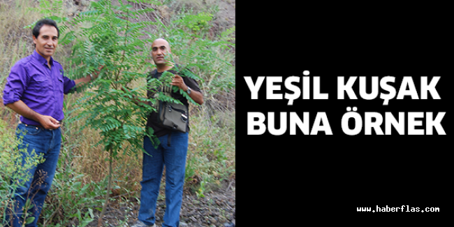 YEŞİL KUŞAK BUNA ÖRNEK