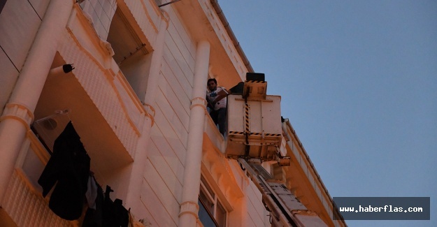 Esenyurt’ta kedi operasyonu