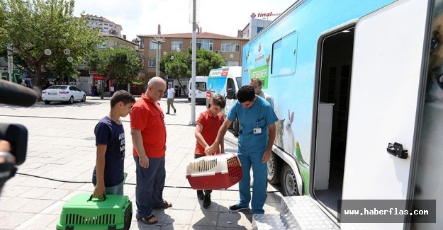 “Hayat Merhamettir”