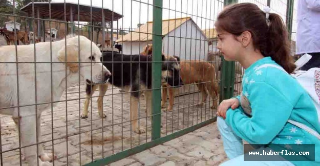 Yeni Yuvalarına Kavuştular