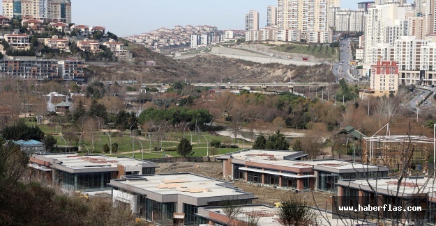 Akgün :“Sen yeşilin ne olduğunu bilmezsin”