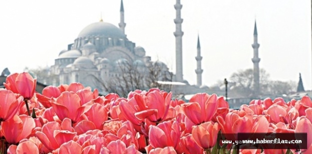 Laleler İstanbul'la buluşmaya Hazırlanıyor
