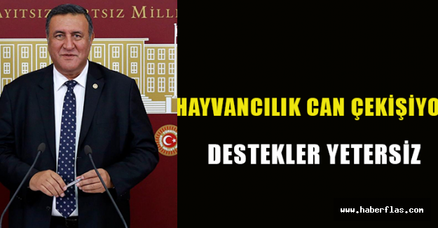 Gürer: “KASDEP ödemelerinde tıkanma yaşanıyor”
