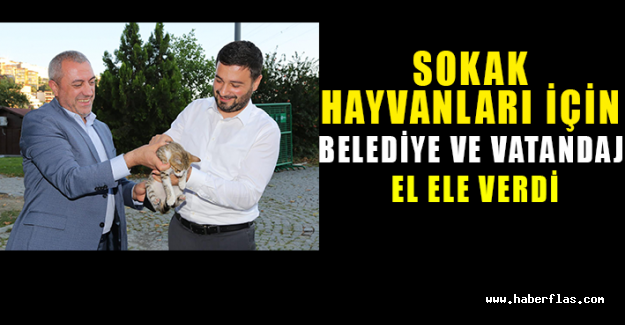 Sokak Hayvanları İçin Belediye Ve Vatandaş El Ele Verdi