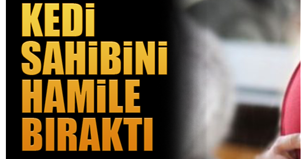 Talihsiz kadının istenmeyen gebeliğinin sorumlusu beslediği kedi çıktı