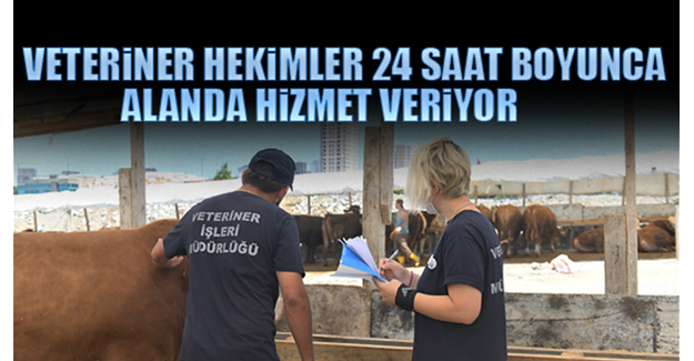 Veteriner Hekimler 24 Saat Boyunca Alanda Hizmet Veriyor