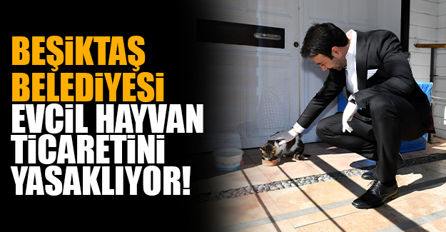 BEŞİKTAŞ BELEDİYESİ, EVCİL HAYVAN TİCARETİNİ YASAKLIYOR!