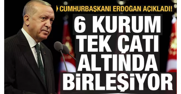 Cumhurbaşkanı Erdoğan: 6 kurum tek çatı altında birleşiyor