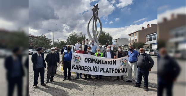 Her köye bin fidan kampanyası
