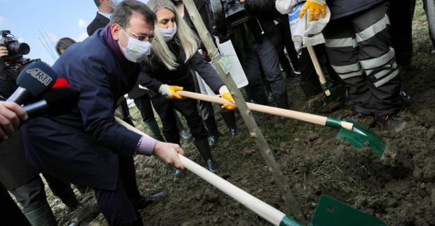 8 Mart Hatıra Ormanı’nın ilk fidanlarını İmamoğlu çifti dikti