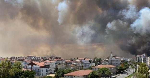 Bağcılar’dan Manavgat’a 20 bin adet fidan bağışı!