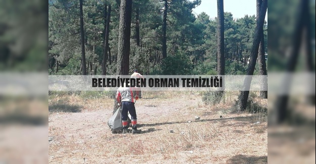 Belediyeden orman temizliği