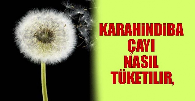 Karahindiba Çayı Nasıl Tüketilir,