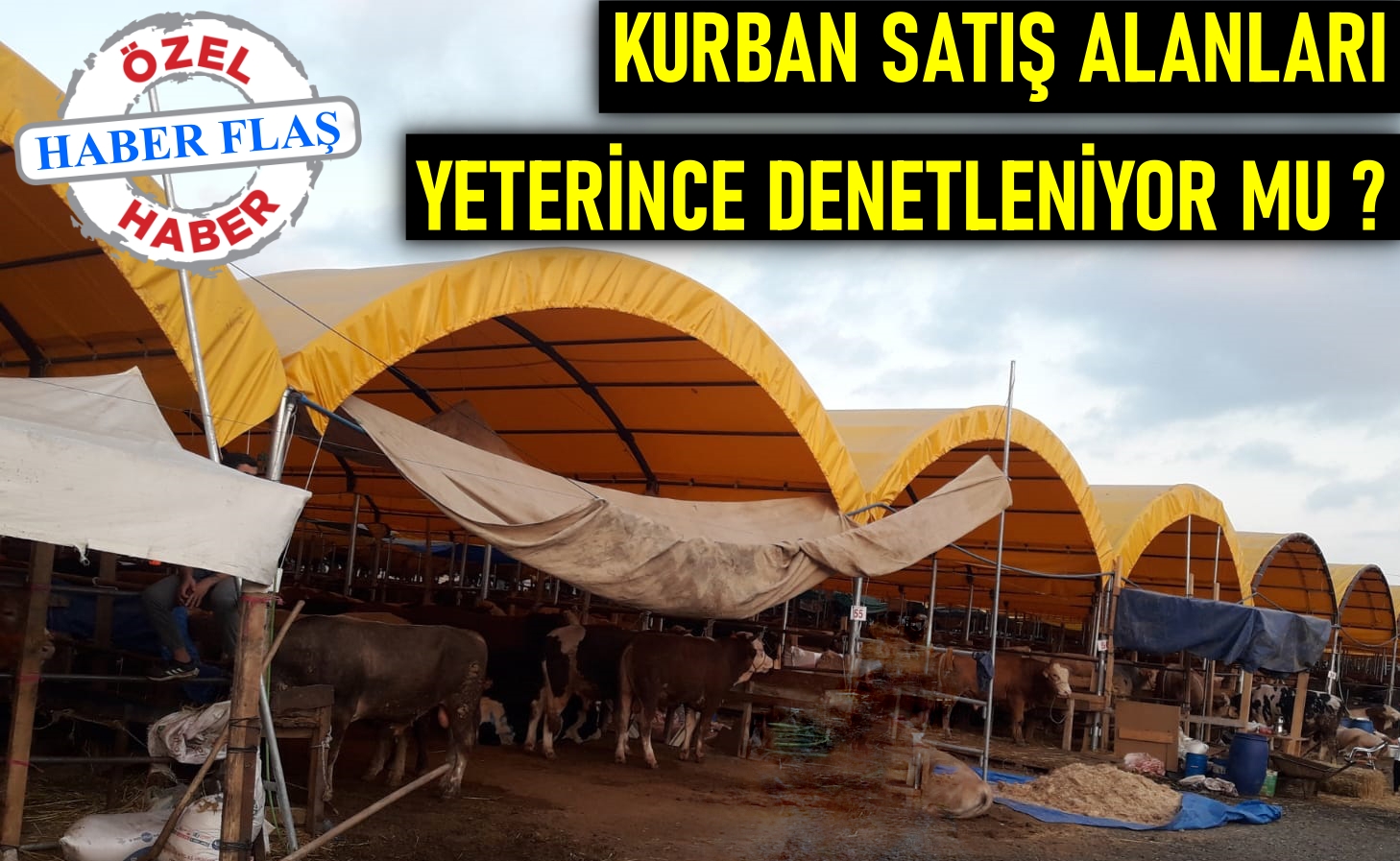 Kurban satış alanları yeterince denetliyor mu?
