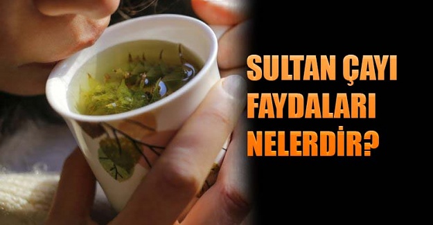Sultan çayı faydaları nelerdir?