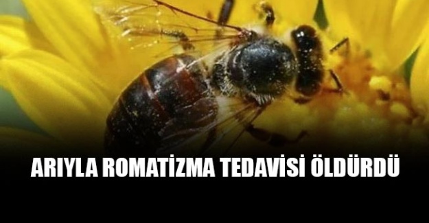 Arıyla romatizma tedavisi öldürdü