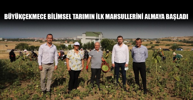 Büyükçekmece bilimsel tarımın ilk mahsullerini almaya başladı
