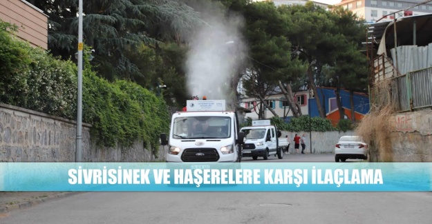 Sivrisinek ve Haşerelere Karşı İlaçlama
