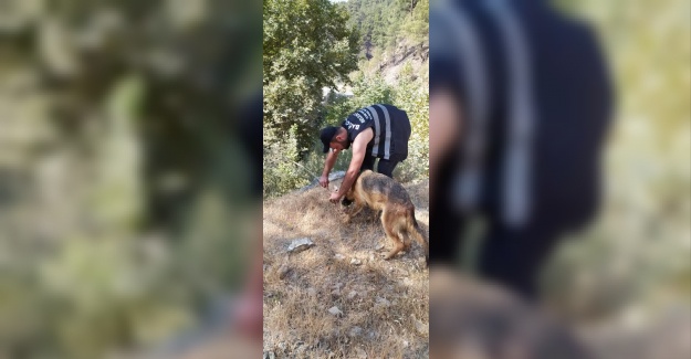 Yangın görevlisi yemeğini köpekle paylaştı