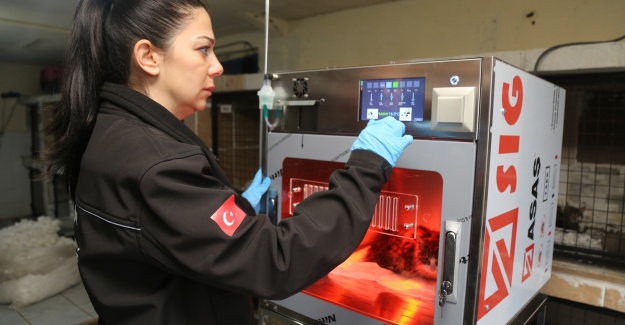 Büyükçekmece’de can dostlara yeni üniteler