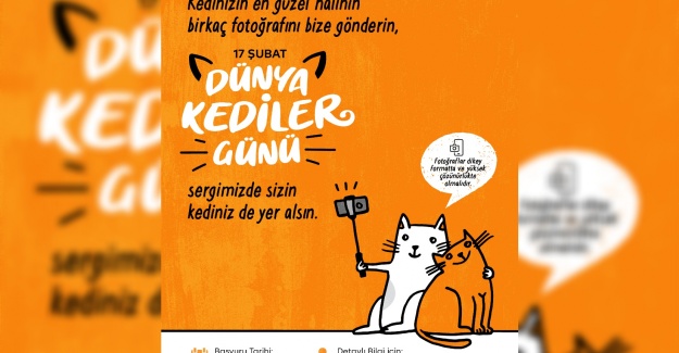 Miniklerden sevimli dostlarımız kedilere özel sergi