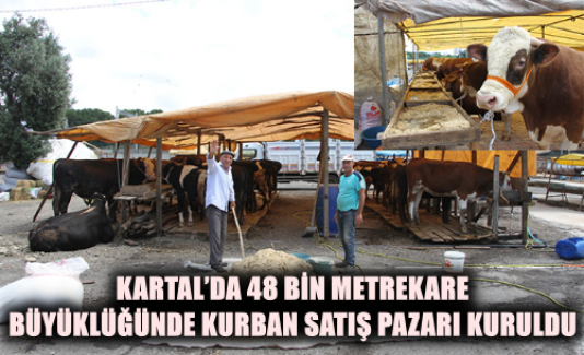 Kartal’da 48 Bin Metrekare Büyüklüğünde Kurban Satış Pazarı Kuruldu.