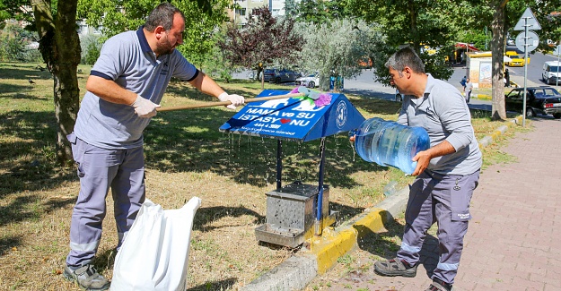 KÜÇÜKÇEKMECE BELEDİYESİ YAZ GÜNLERİNDE SOKAK CANLARINI UNUTMUYOR