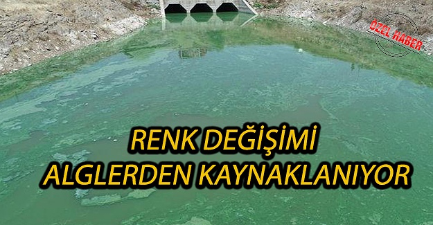 Renk Değişimi Alglerden Kaynaklanıyor