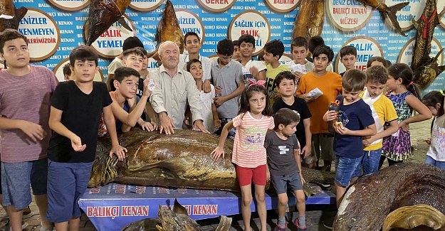 TÜRKİYE DENİZ CANLILARI MÜZEİ 50 YAŞINDA