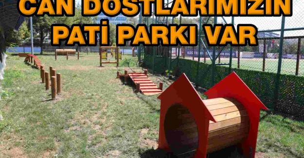 Can dostlarımızın pati parkı var