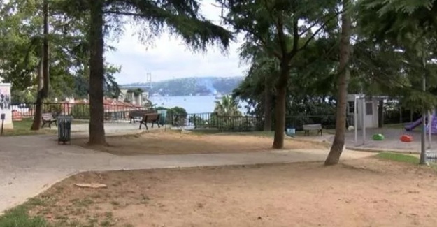 Beşiktaş’ta Ayazma Parkı’na yeni ağaçlar dikildi