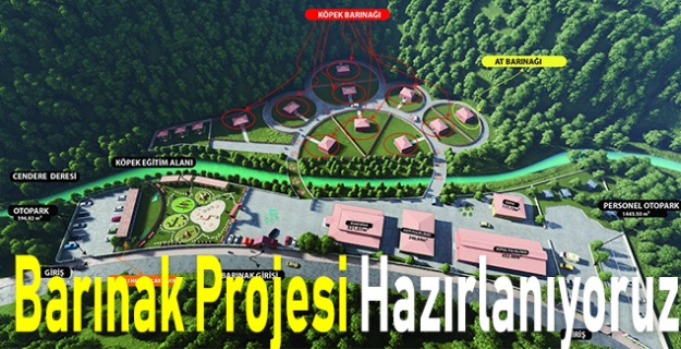 Başıboş Hayvanlar İçin Barınak Projesi Hazırlanıyoruz
