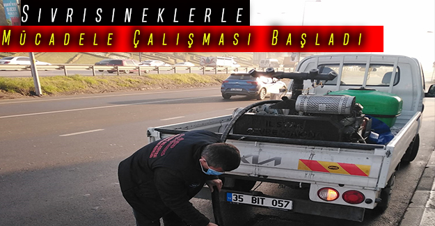 Maltepe’de Sivrisineklerle Mücadele Çalışması Başladı