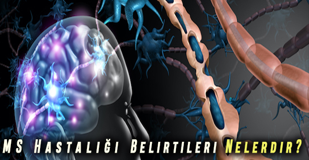 MS Hastalığı nedir ?