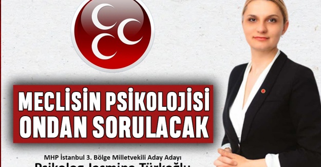 Jasmina Türkoğlu meclis yolunda