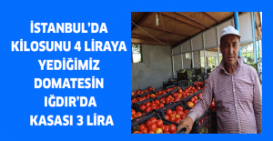 İstanbul’da kilosunu 4 liraya yediğimiz domatesin  Iğdır’da Kasası 3 lira
